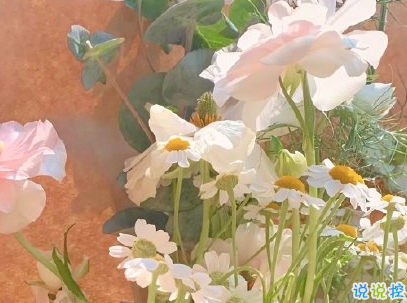 开云官方入口登录