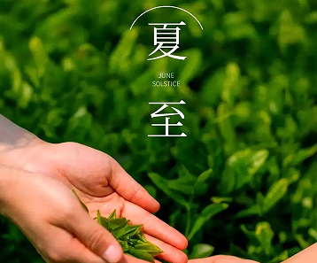 赛博appV7.4专业版