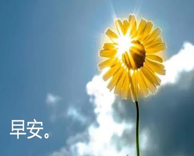 新2游戏官网安卓版二维码
