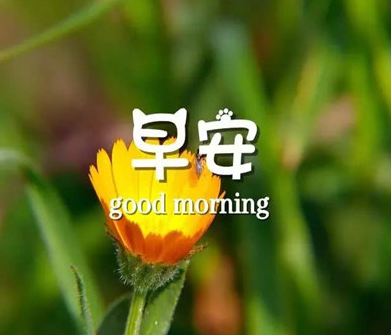 足彩竞彩网appV8.8专业版