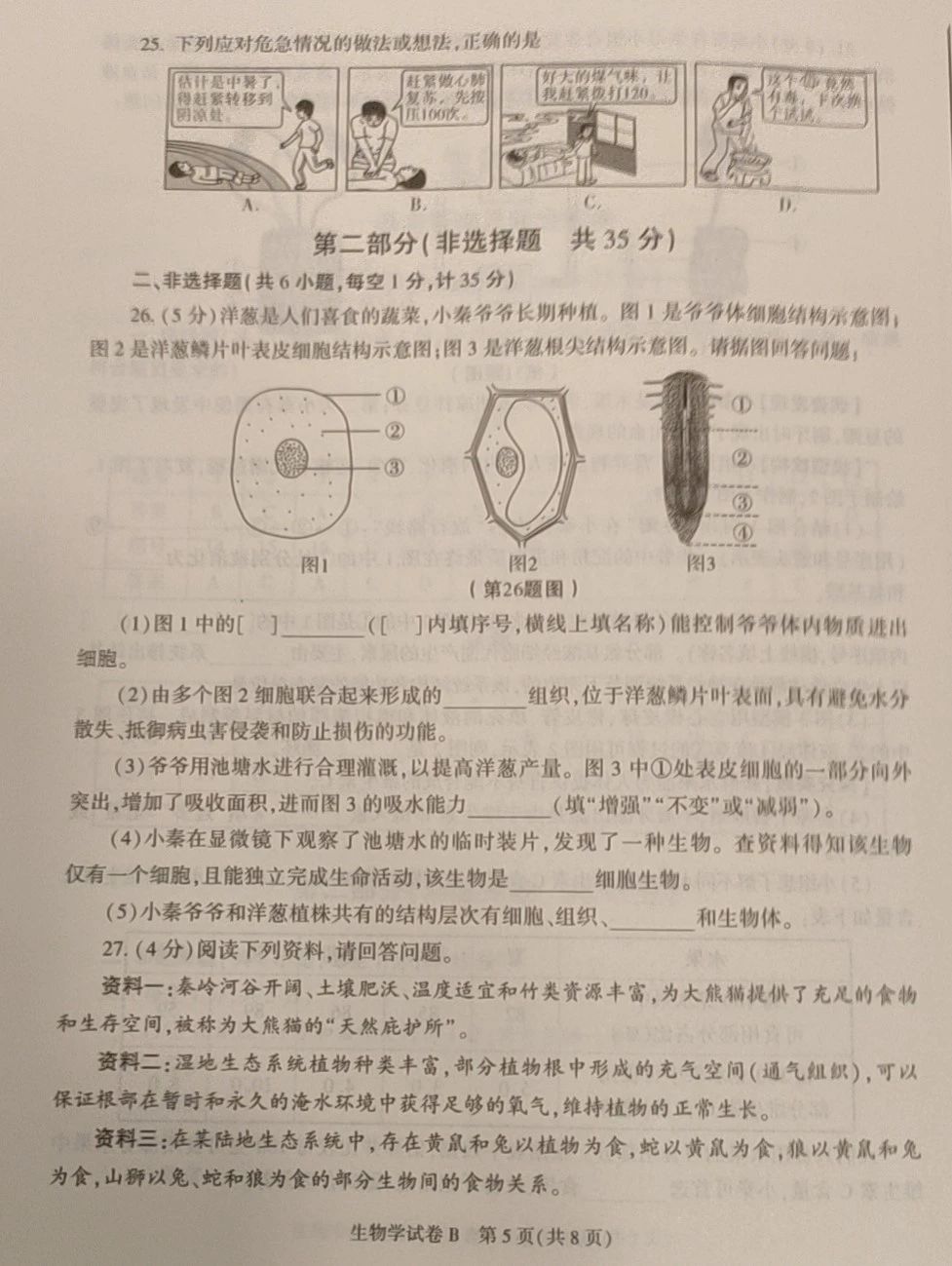 Codec 8.4b(媒体解码器)