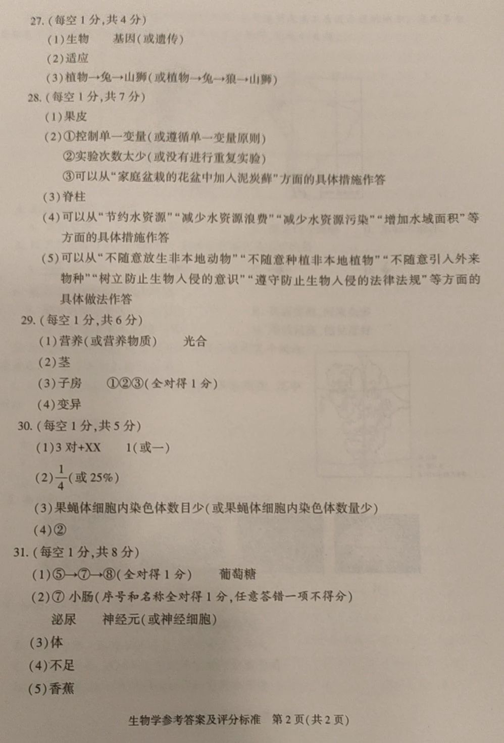 《豪门国际app》2025版任务分支选择与剧情对话场景