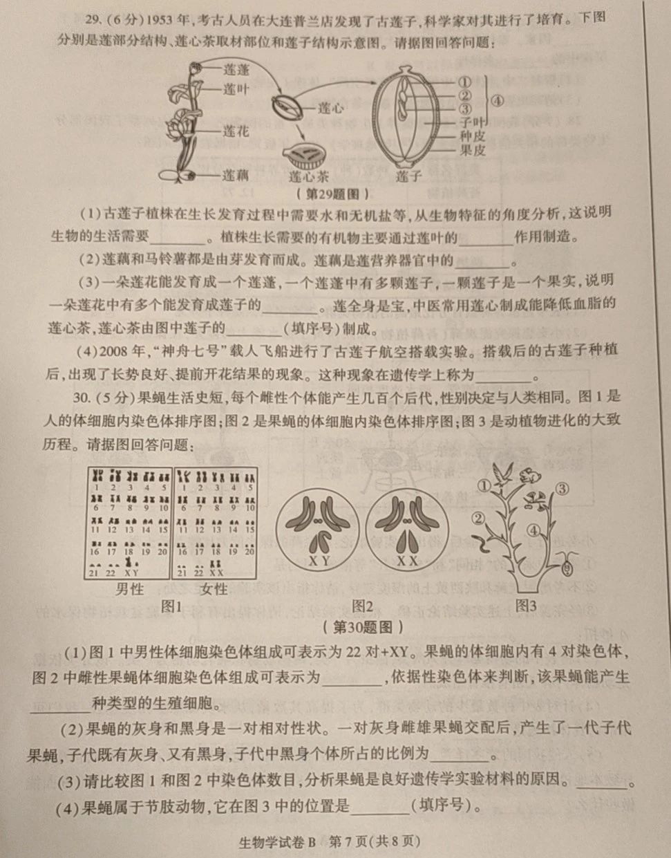 世博综合体育官网安卓版二维码