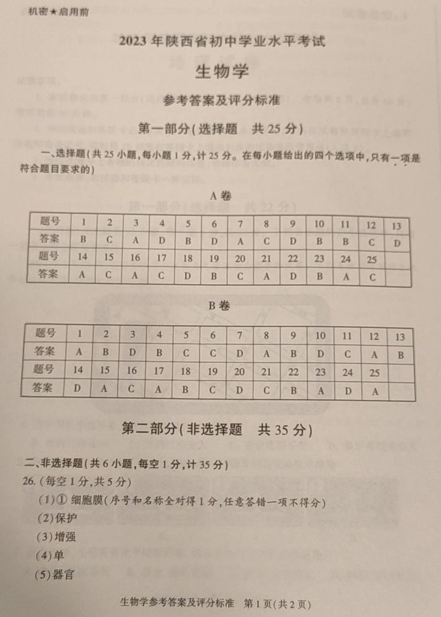 登基称帝