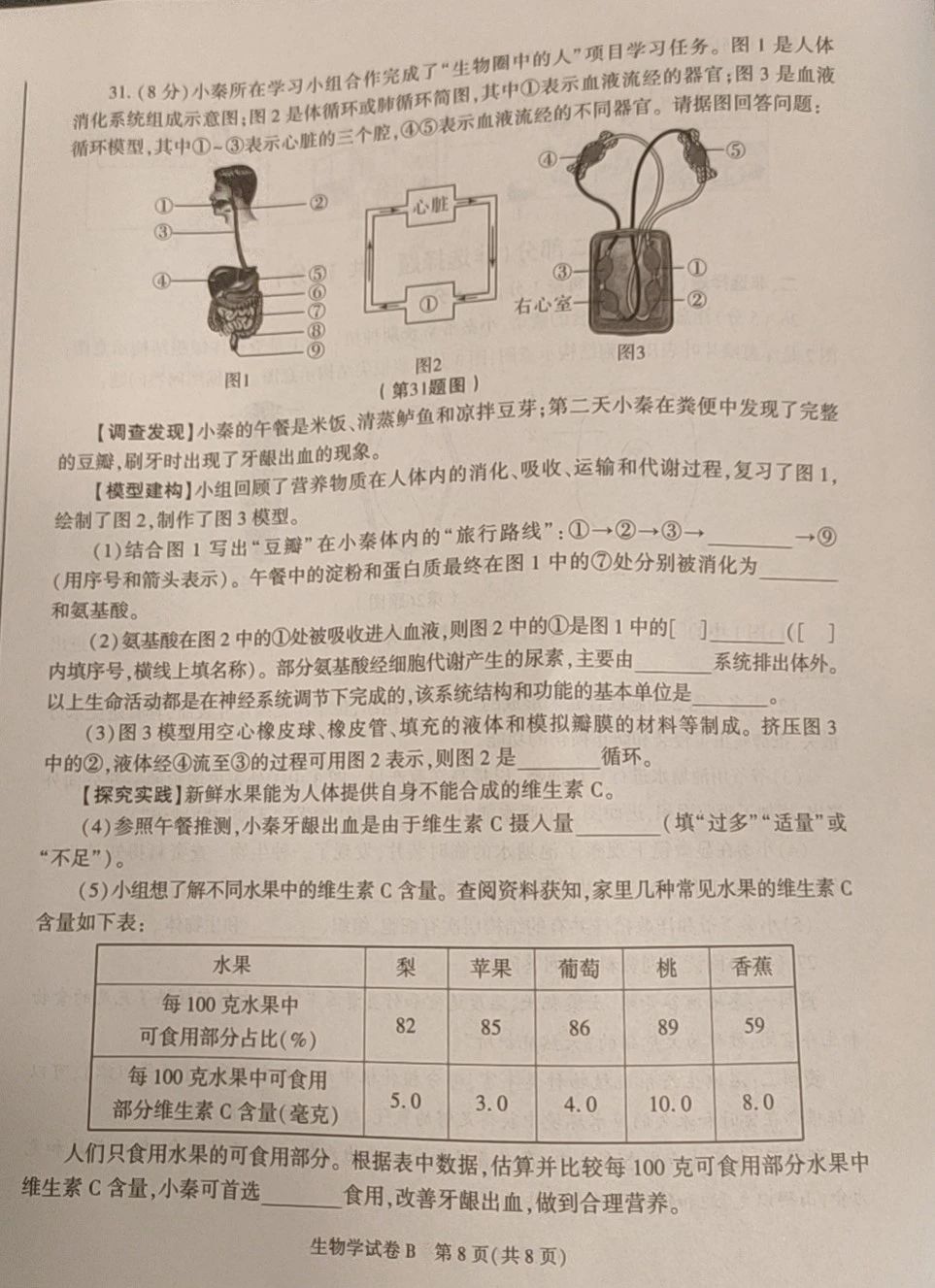 傲气雄鹰2014