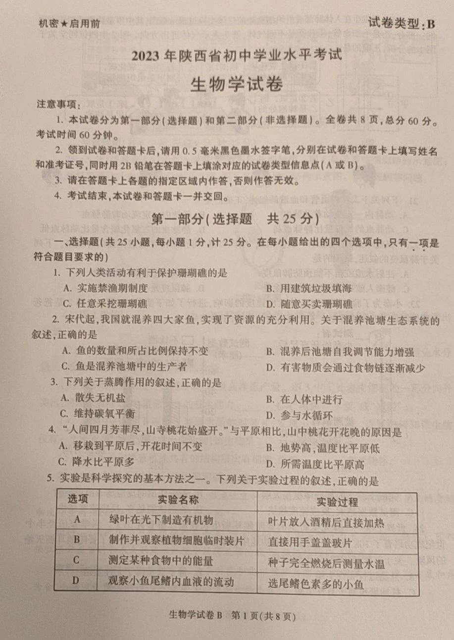 天辰app最新版动物养成界面