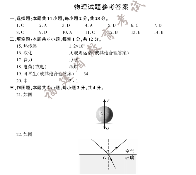 SD Formatter中文版(手机sd卡修复工具)