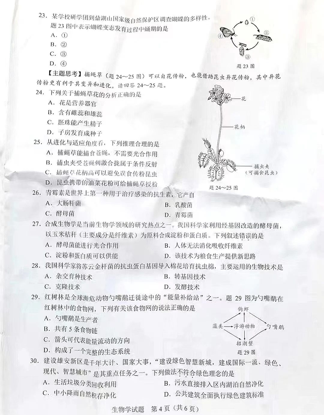 XArpC网络管理小工具