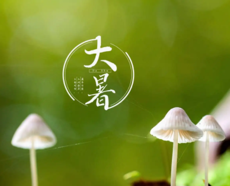 开云登录平台入口V7.1专业版