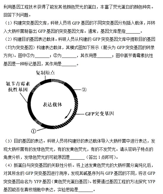银娱vipV2.4专业版
