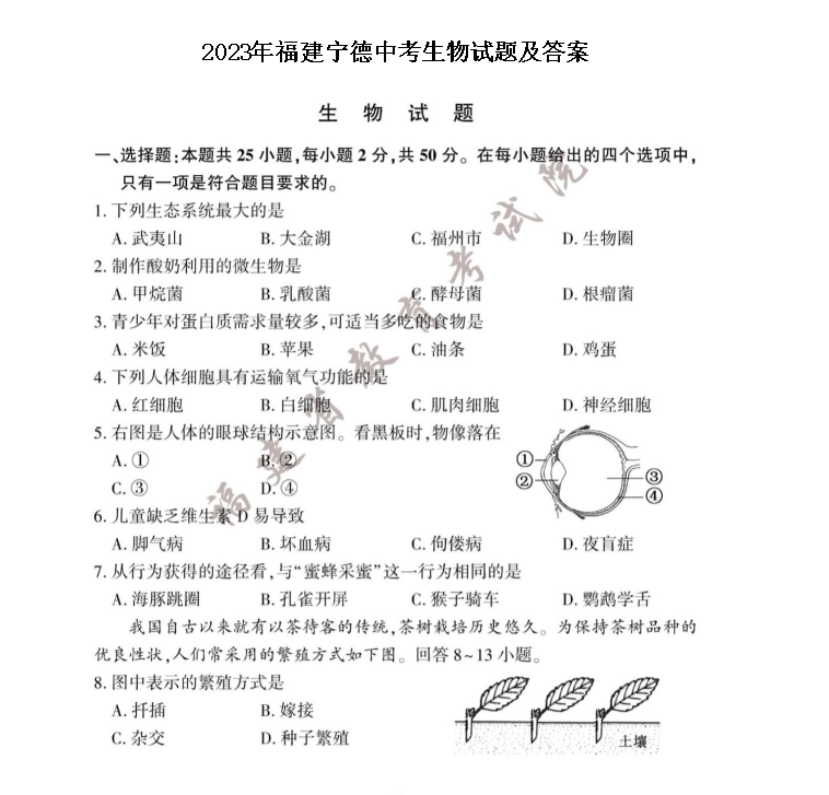 mgm美高梅官方直营V7.1专业版