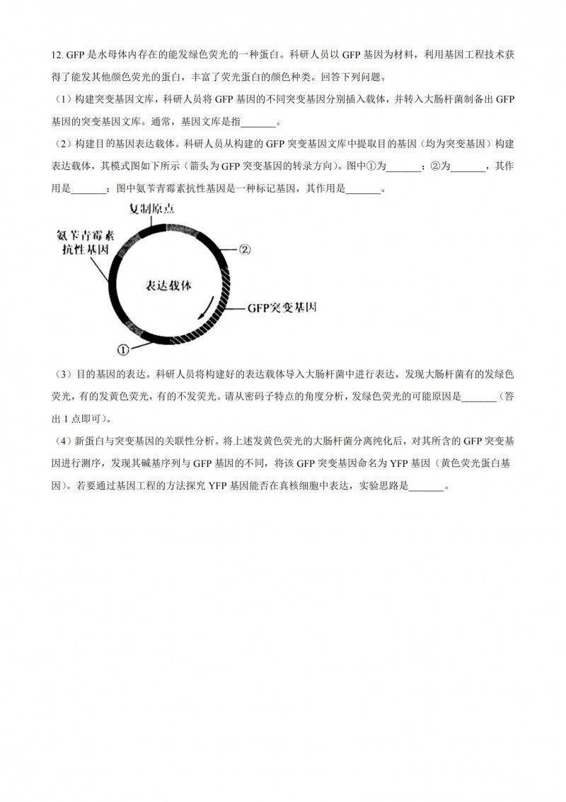 灵魂筹码花傀扶桑女忍套装2025版游戏场景截图