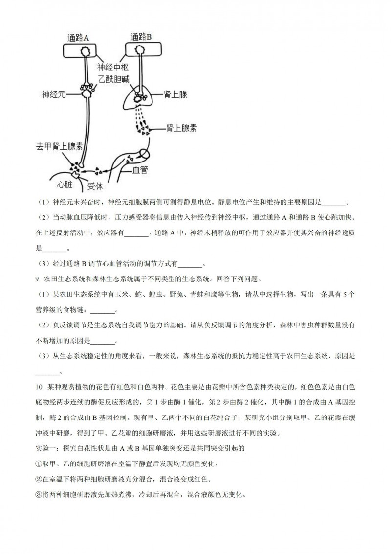 EMC体育网页版V4.3专业版