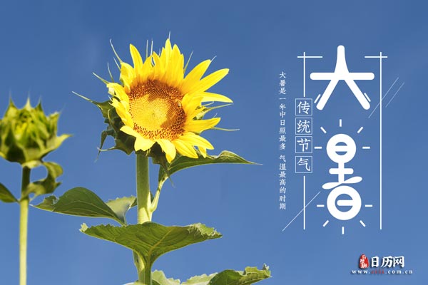必发365APPV1.8专业版