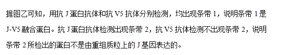 bibo必博体育app下载V1.3专业版