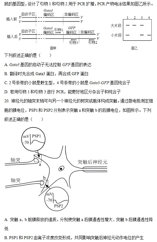 新忍者世界九游版