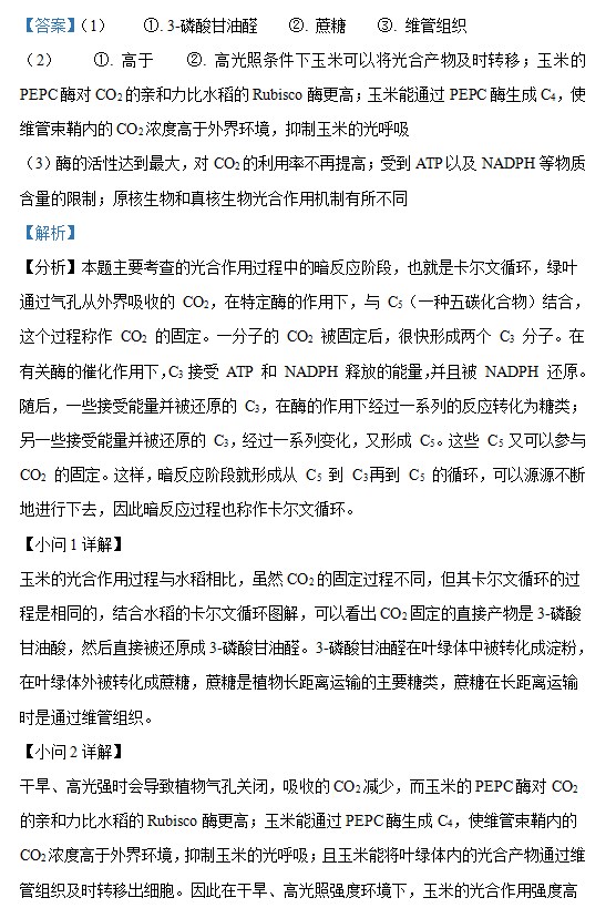 168APP安卓版二维码