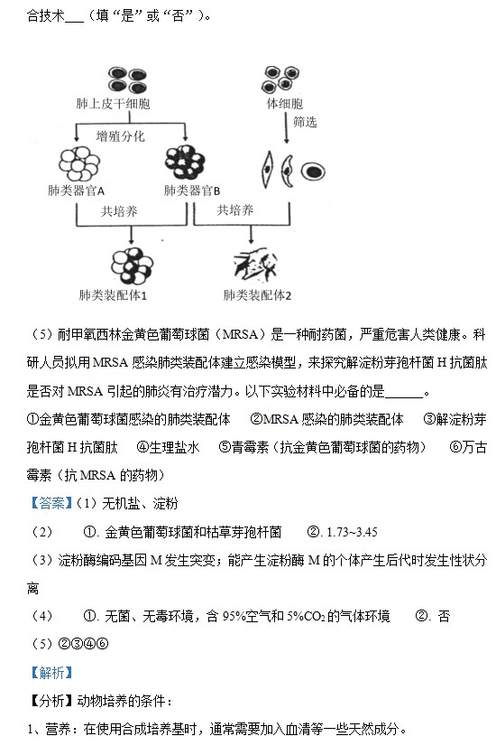 B365体育V9.1专业版