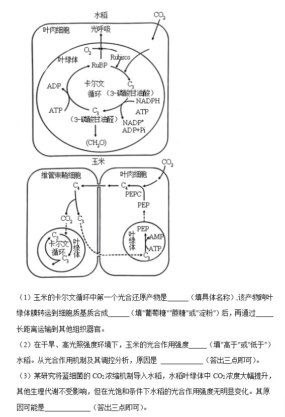 伟德国际1946APPV9.5专业版