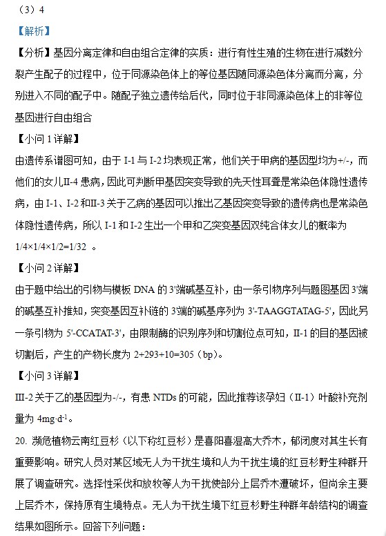滚球投注app安卓版二维码