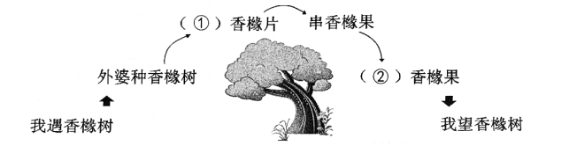 红警2尤里复仇通用地图最新版