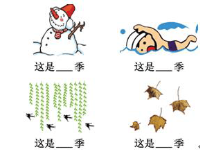 新宝GG登录地址V6.1专业版