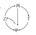 电子游艺网appV3.3专业版