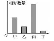和胜体育app2025版多人团队协作战斗