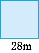 WILLIAMHILLV6.7专业版