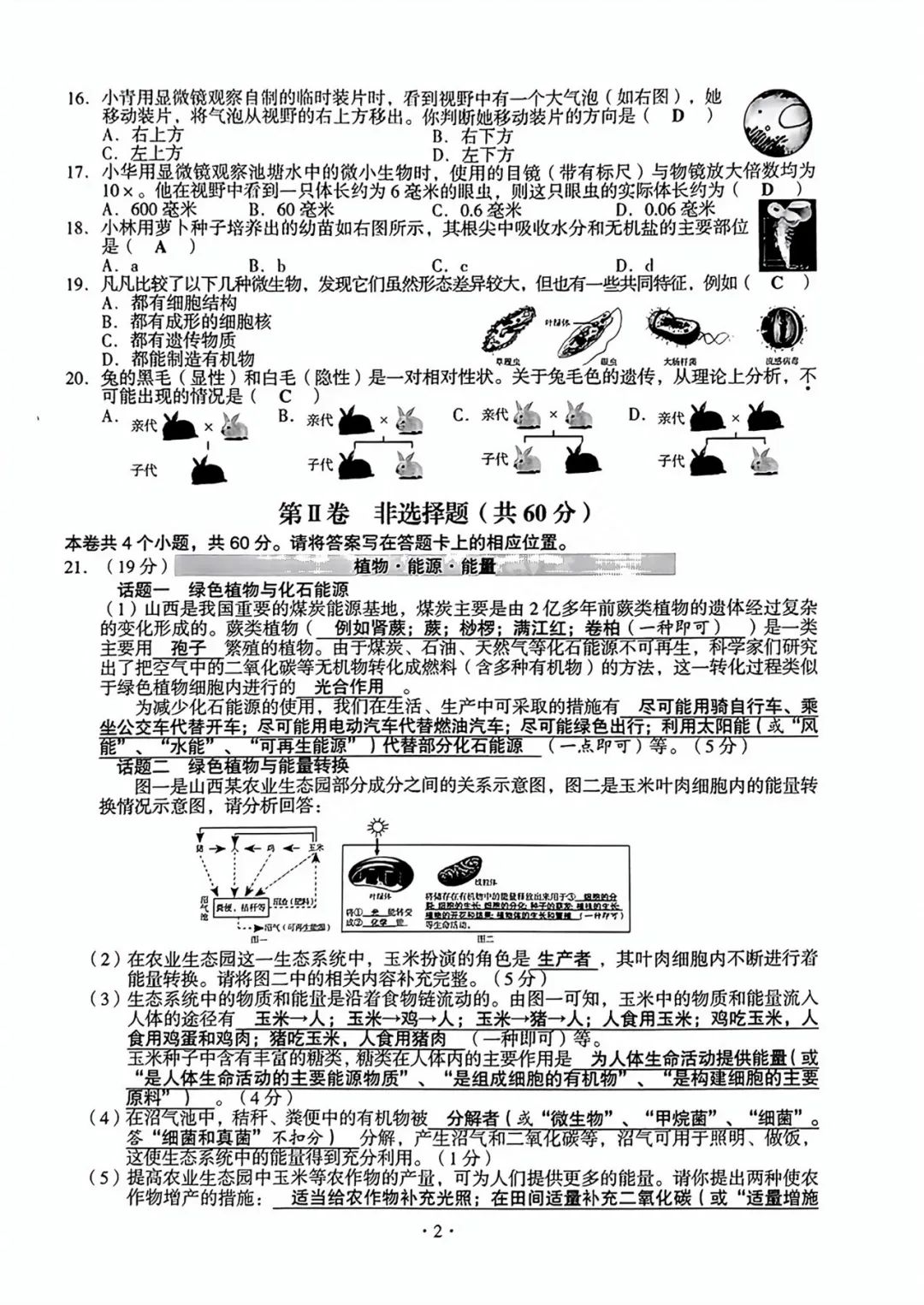 和记体育appV1.4专业版