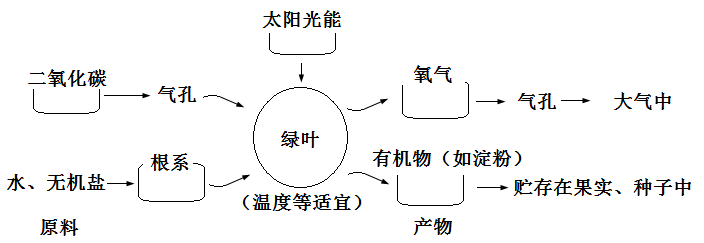 云开体育app官网入口登录V2.8专业版