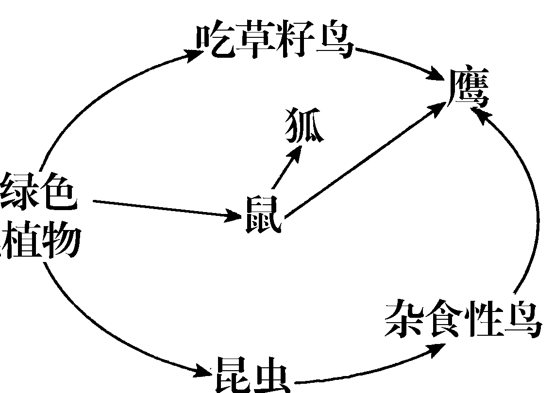 kaiyun体育官方客户端下载V9.1专业版
