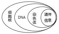 SP娱乐app
