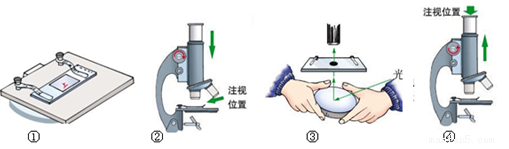 河南汽车维修平台APP