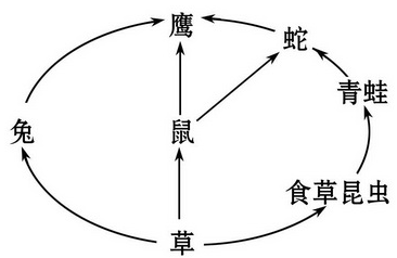 小熊洗车APP