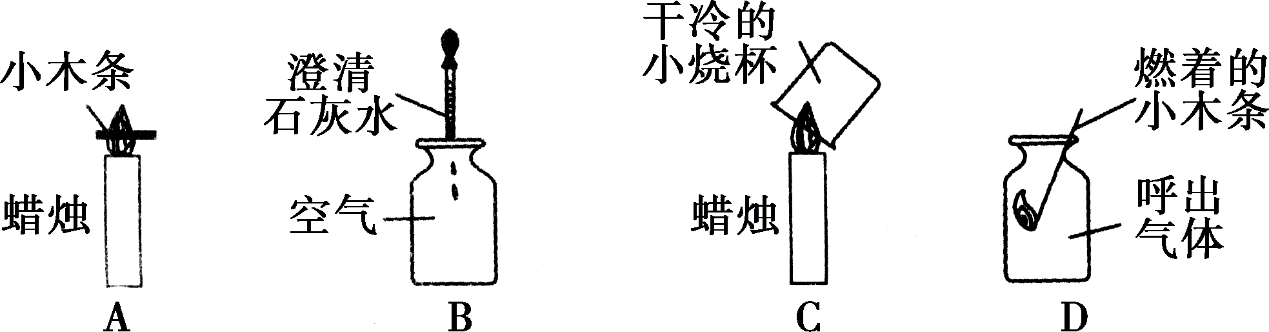 英文美工常用字体打包