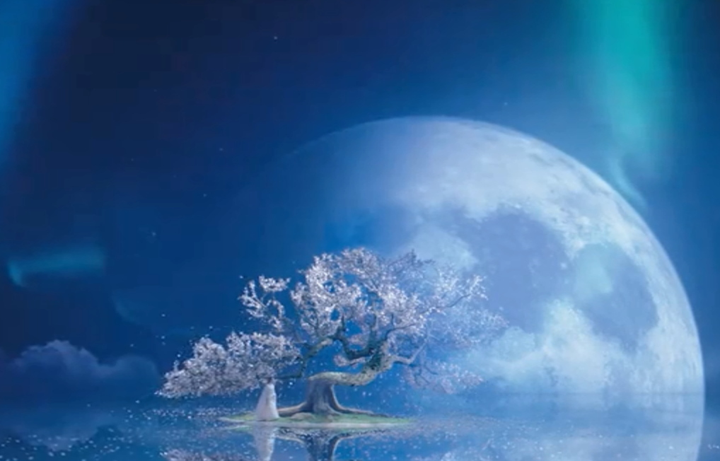 超级房车赛起点2 2025版 车辆调校与研发界面