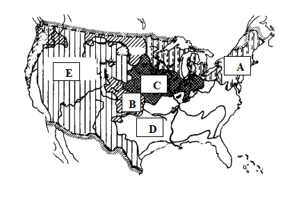 kaiyun体育app官网首页V8.2专业版