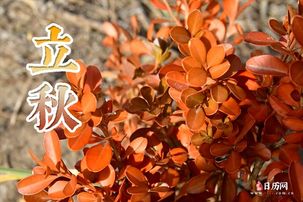 小熊洗车APP