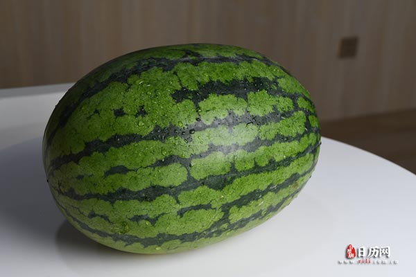 贵州药材APP