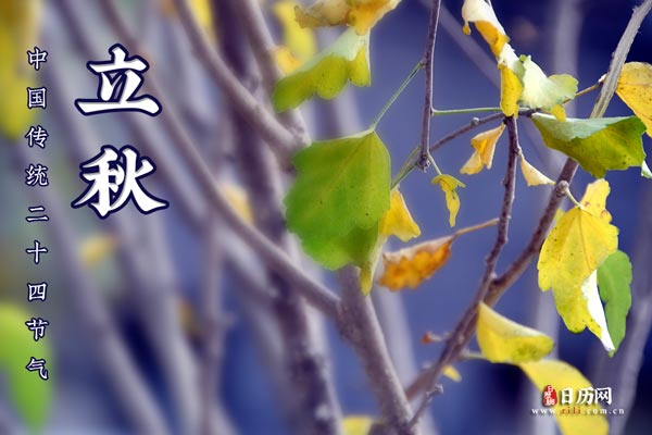 爱奇艺视频for mac版