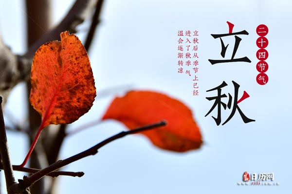 云开体育app官网首页V2.3专业版