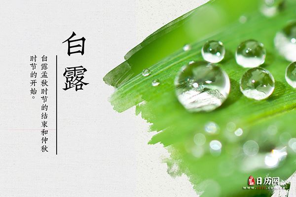 eman安卓版