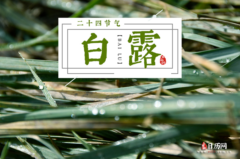 河南汽车维修平台APP
