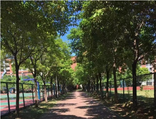 河南汽车维修平台APP
