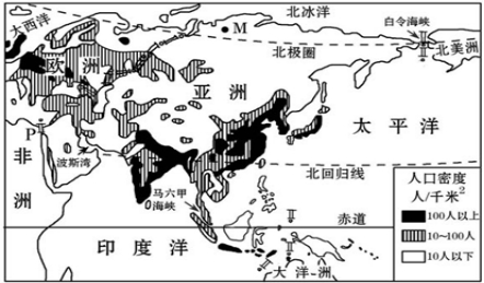 eman安卓版