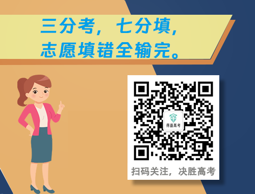 开云appV2.4专业版