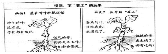 开云官方体育app下载V5.3专业版