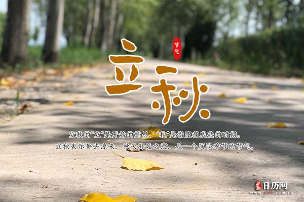 世界大战西方战线2025最新版堑壕战场面
