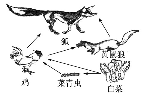 贵州药材APP